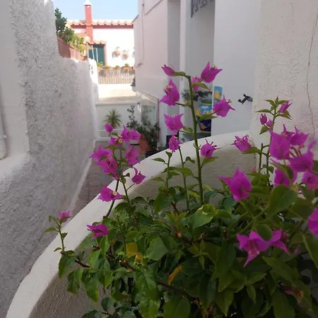 Casa Micuccio Seaside Sant'Angelo (Isola d'Ischia)